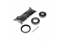 Wheel bearing ADN18308 Blue Print