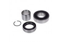 Wheel bearing ADZ98304 Blue Print