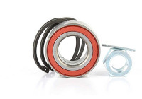 Wheel bearing BSG 16-605-001