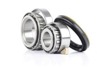 Wheel bearing BSG 60-600-001