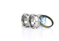 Wheel bearing BSG 60-600-006