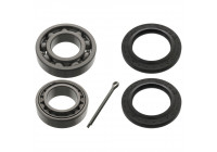 Wheel Bearing Kit 03691 FEBI
