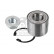 Wheel Bearing Kit 170371 FEBI, Thumbnail 2