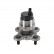 Wheel Bearing Kit 172495 FEBI