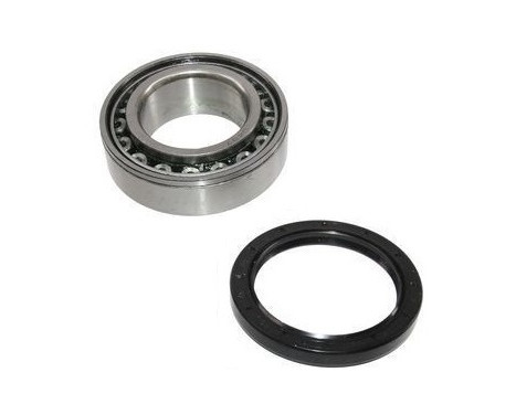 Wheel Bearing Kit 200599 ABS