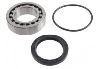 Wheel Bearing Kit 200671 ABS