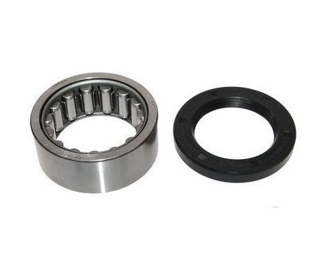 Wheel Bearing Kit 201087 ABS