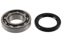 Wheel Bearing Kit 201321 ABS