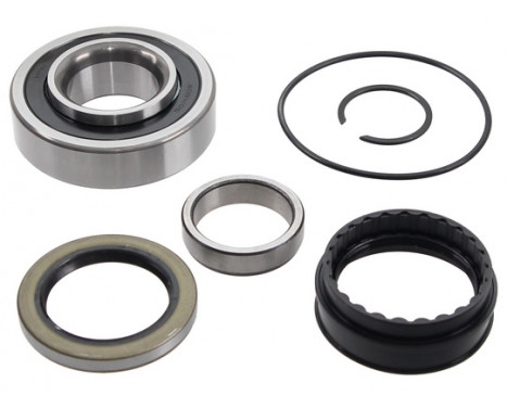 Wheel Bearing Kit 201369 ABS