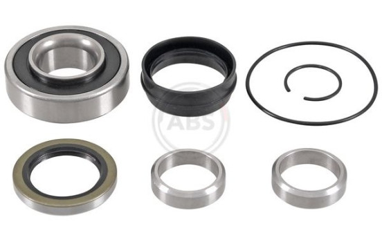 Wheel Bearing Kit 201719 ABS