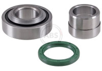 Wheel Bearing Kit 201850 ABS