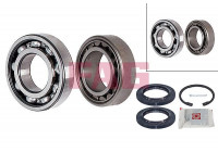 Wheel Bearing Kit 713611550 FAG