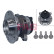 Wheel Bearing Kit 713650650 FAG, Thumbnail 2