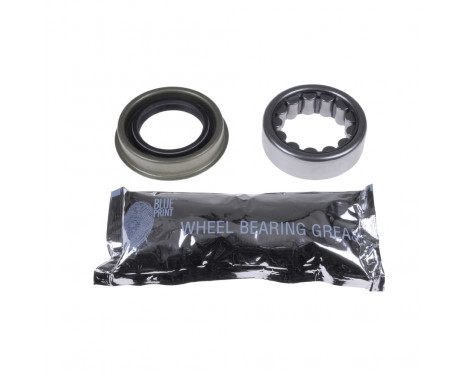 Wheel Bearing Kit ADA108310 Blue Print