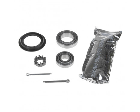 Wheel Bearing Kit ADG08319 Blue Print