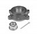 Wheel Bearing Kit ADN18374 Blue Print