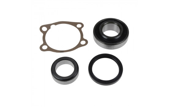 Wheel Bearing Kit ADT38313 Blue Print