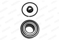Wheel Bearing Kit RE-WB-11473 Moog