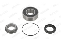 Wheel Bearing Kit SE-WB-11591 Moog