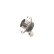 Wheel Bearing Kit VKBA 1440 SKF, Thumbnail 4