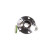 Wheel Bearing Kit VKBA 3456 SKF, Thumbnail 5