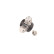Wheel Bearing Kit VKBA 6541 SKF, Thumbnail 4