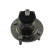 Wheel Bearing Kit WBH-5527 Kavo parts