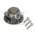 Wheel bearing set 198189 FEBI
