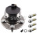 wheel bearing set 50932598 Swag