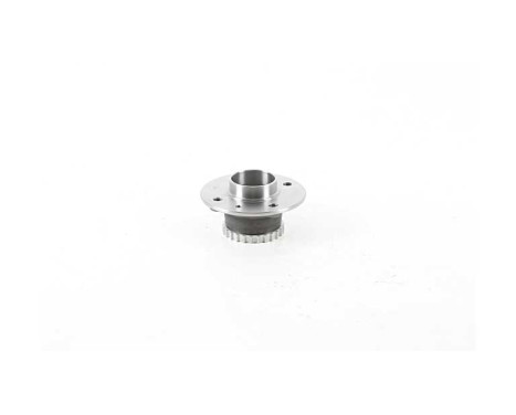 Wheel bearing set BSG 75-325-001