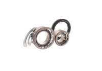 Wheel bearing VKBA 3434 SKF