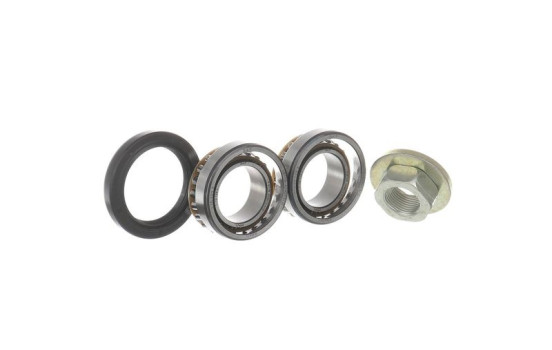Wheel bearing VKBA 3666 SKF