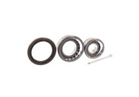 Wheel bearing VKBA 3792 SKF