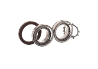 Wheel bearing VKBA 6700 SKF