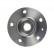 Wheel Hub 172411 FEBI, Thumbnail 2