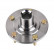 Wheel Hub 173421 FEBI