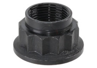 Axle nut, drive shaft / cardan shaft