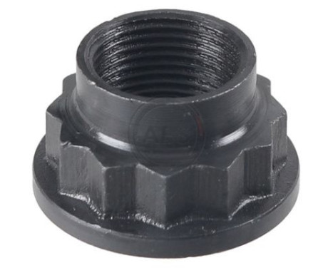 Axle nut, drive shaft / cardan shaft