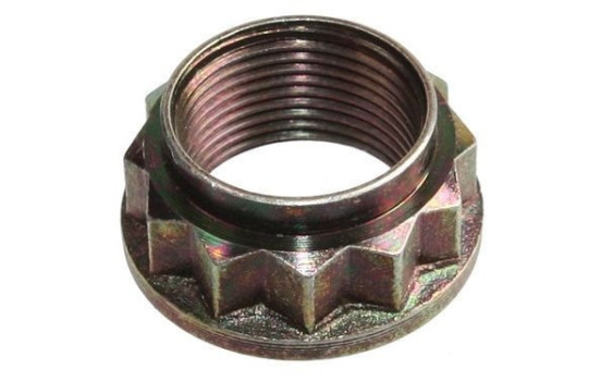 Axle Nut, drive shaft