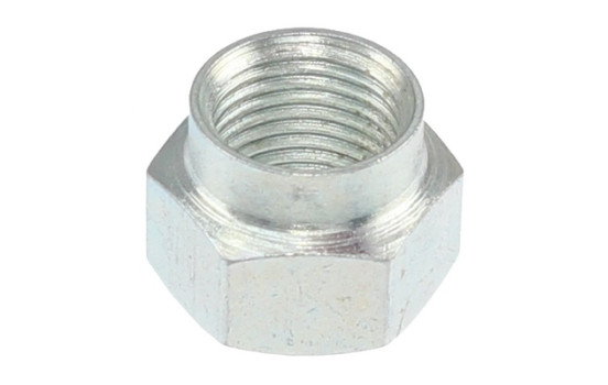Axle Nut, drive shaft