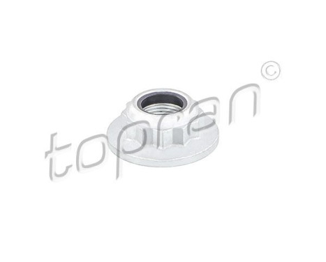 Nut, stub axle