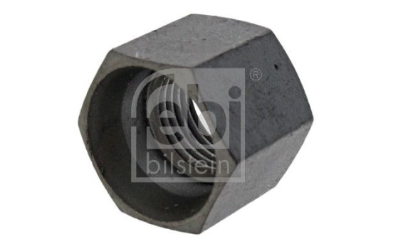 Nut, Image 2