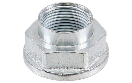 Wheel hub nut