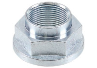 Wheel hub nut