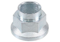 Wheel hub nut