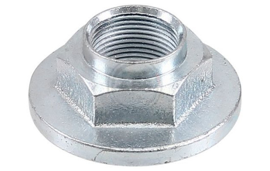 Wheel hub nut