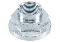 Wheel hub nut