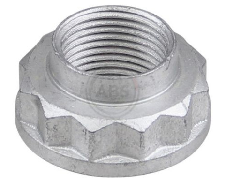 Wheel hub nut