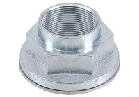 Wheel hub nut