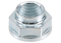 Wheel hub nut